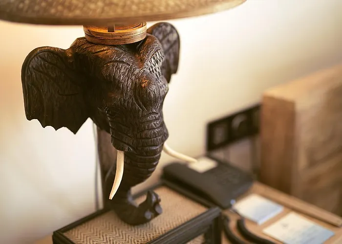 호텔 Agrovela 알라카티